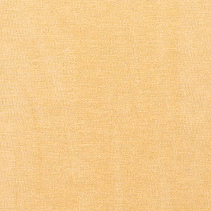 D3861 by Charlotte Designer Fabric Classic Velvet II 90% Polyester, 10% Nylon Asia Exceeds 240,000 Wyzenbeek Rubs (Heavy Duty) No Repeat 54 Inches - Swanky Fabrics -