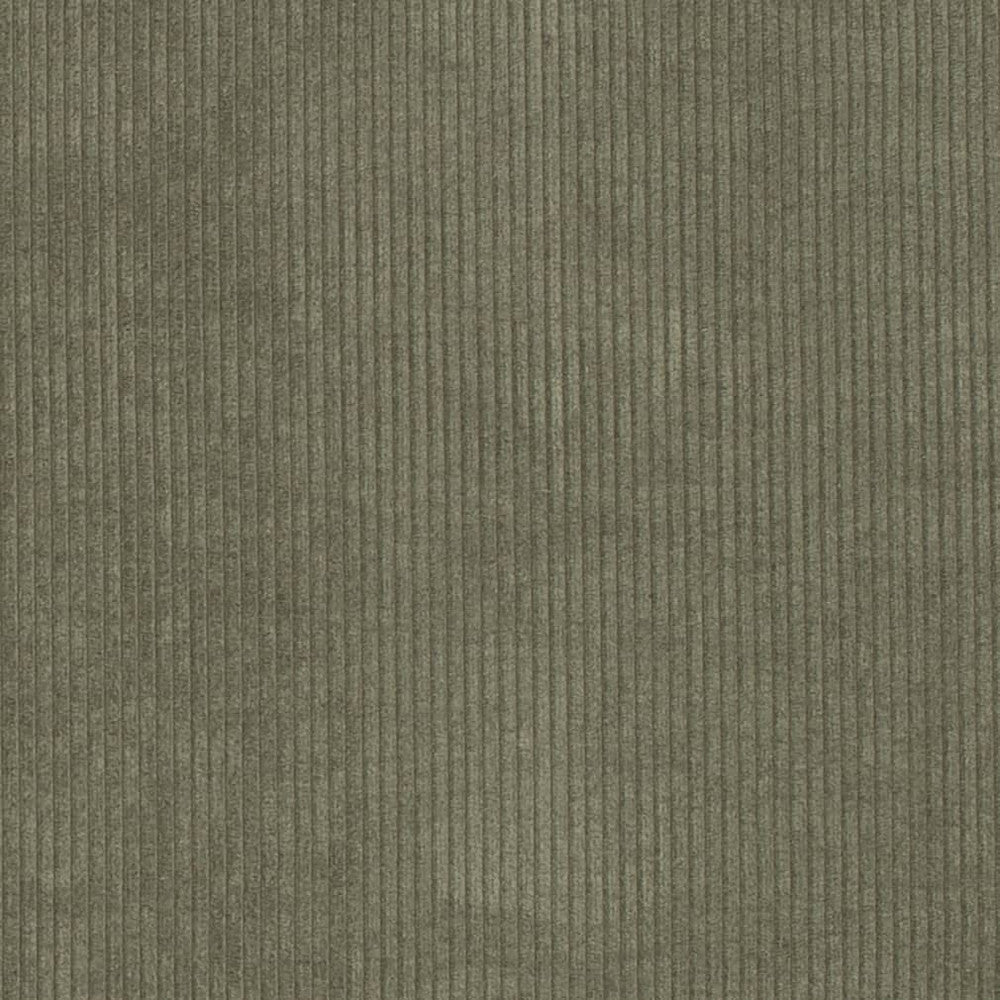 D3869 by Charlotte Designer Fabric Ridges 92% Polyester, 8% Acrylic Asia Exceeds 100,000 Wyzenbeek Rubs (Heavy Duty) No Repeat 54 Inches - Swanky Fabrics -