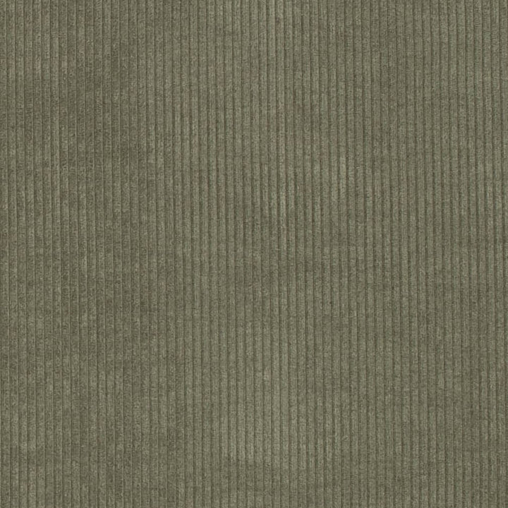 D3869 by Charlotte Designer Fabric Ridges 92% Polyester, 8% Acrylic Asia Exceeds 100,000 Wyzenbeek Rubs (Heavy Duty) No Repeat 54 Inches - Swanky Fabrics -