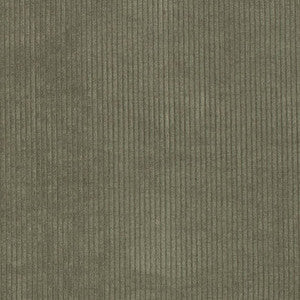 D3869 by Charlotte Designer Fabric