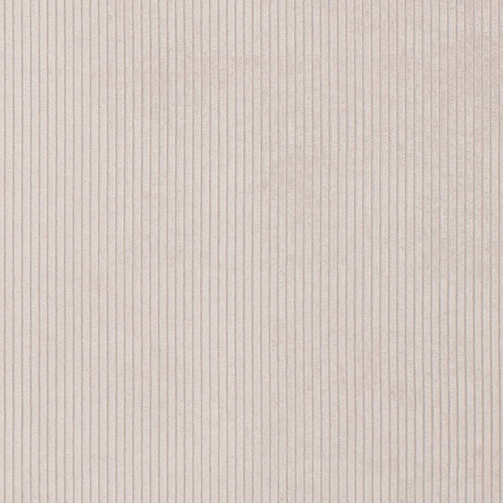 D3876 by Charlotte Designer Fabric Ridges 92% Polyester, 8% Acrylic Asia Exceeds 100,000 Wyzenbeek Rubs (Heavy Duty) No Repeat 54 Inches - Swanky Fabrics -