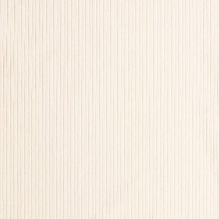 D3879 by Charlotte Designer Fabric Ridges 92% Polyester, 8% Acrylic Asia Exceeds 100,000 Wyzenbeek Rubs (Heavy Duty) No Repeat 54 Inches - Swanky Fabrics -