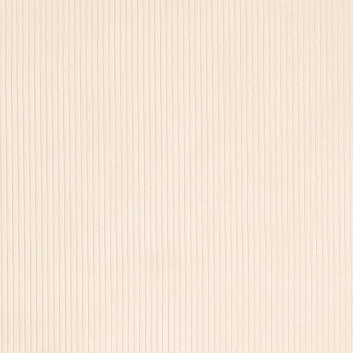 D3880 by Charlotte Designer Fabric Ridges 92% Polyester, 8% Acrylic Asia Exceeds 100,000 Wyzenbeek Rubs (Heavy Duty) No Repeat 54 Inches - Swanky Fabrics -