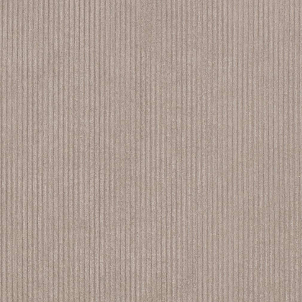 D3881 by Charlotte Designer Fabric Ridges 92% Polyester, 8% Acrylic Asia Exceeds 100,000 Wyzenbeek Rubs (Heavy Duty) No Repeat 54 Inches - Swanky Fabrics -