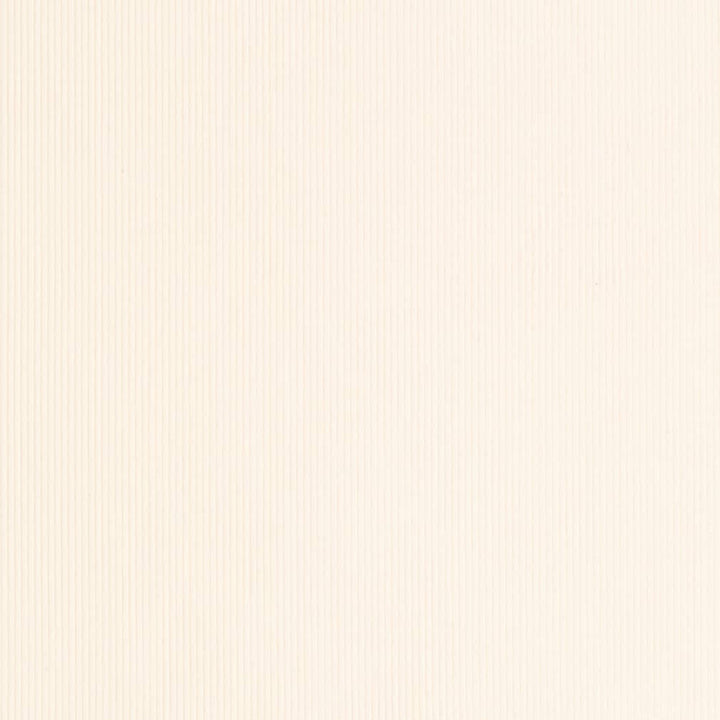 D3885 by Charlotte Designer Fabric Ridges 90% Polyester, 10% Nylon Asia Exceeds 300,000 Wyzenbeek Rubs (Heavy Duty) No Repeat 54 Inches - Swanky Fabrics -