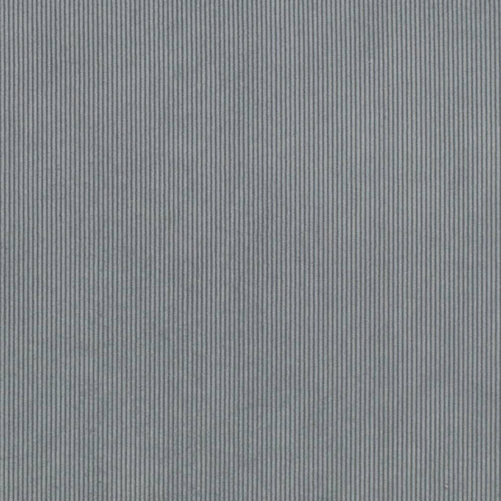 D3886 by Charlotte Designer Fabric Ridges 90% Polyester, 10% Nylon Asia Exceeds 300,000 Wyzenbeek Rubs (Heavy Duty) No Repeat 54 Inches - Swanky Fabrics -
