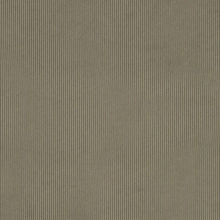 D3887 by Charlotte Designer Fabric Ridges 90% Polyester, 10% Nylon Asia Exceeds 300,000 Wyzenbeek Rubs (Heavy Duty) No Repeat 54 Inches - Swanky Fabrics -