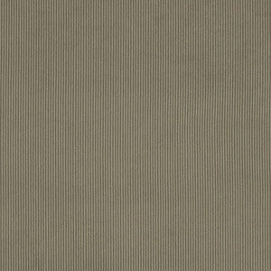 D3887 by Charlotte Designer Fabric