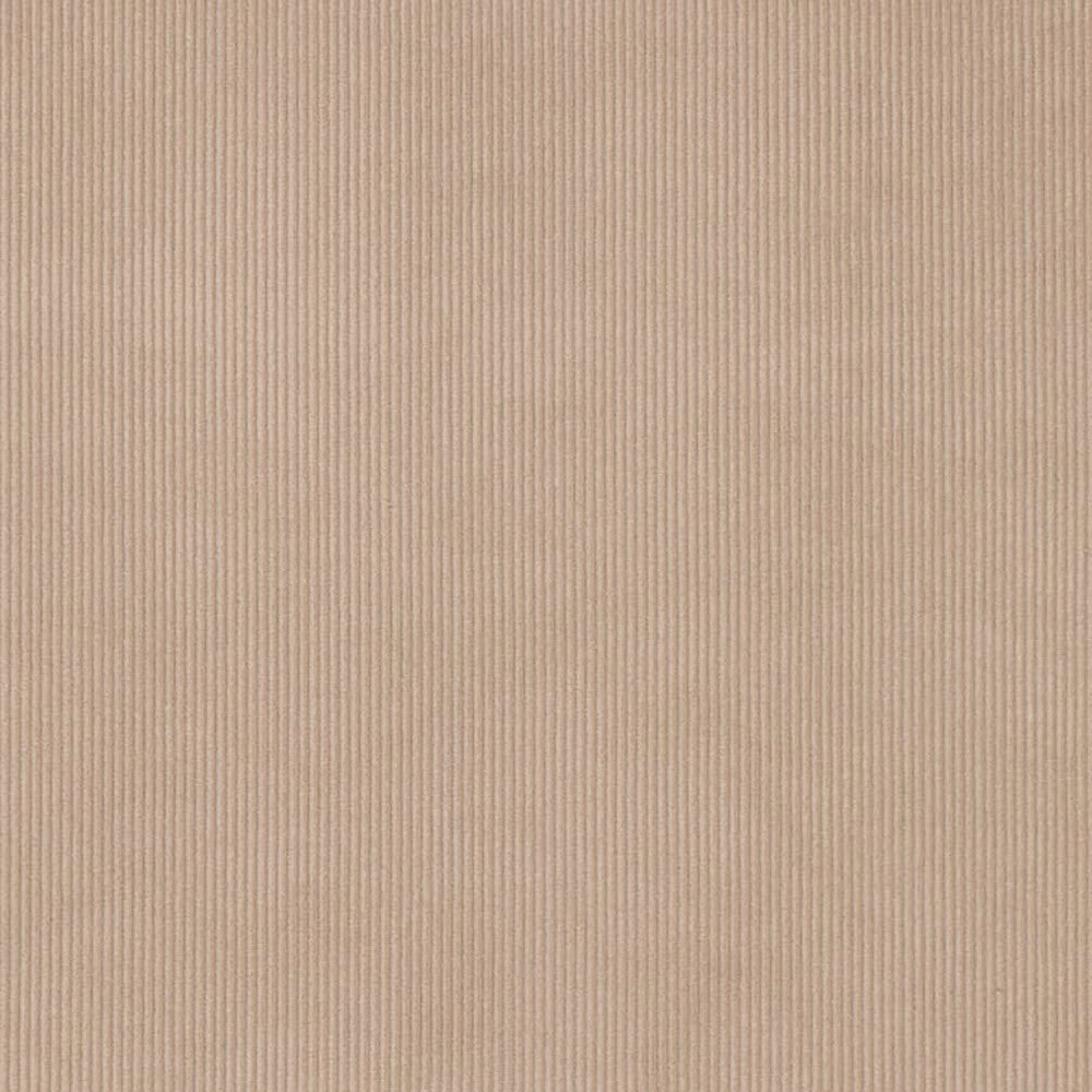 D3895 by Charlotte Designer Fabric Ridges 90% Polyester, 10% Nylon Asia Exceeds 300,000 Wyzenbeek Rubs (Heavy Duty) No Repeat 54 Inches - Swanky Fabrics -