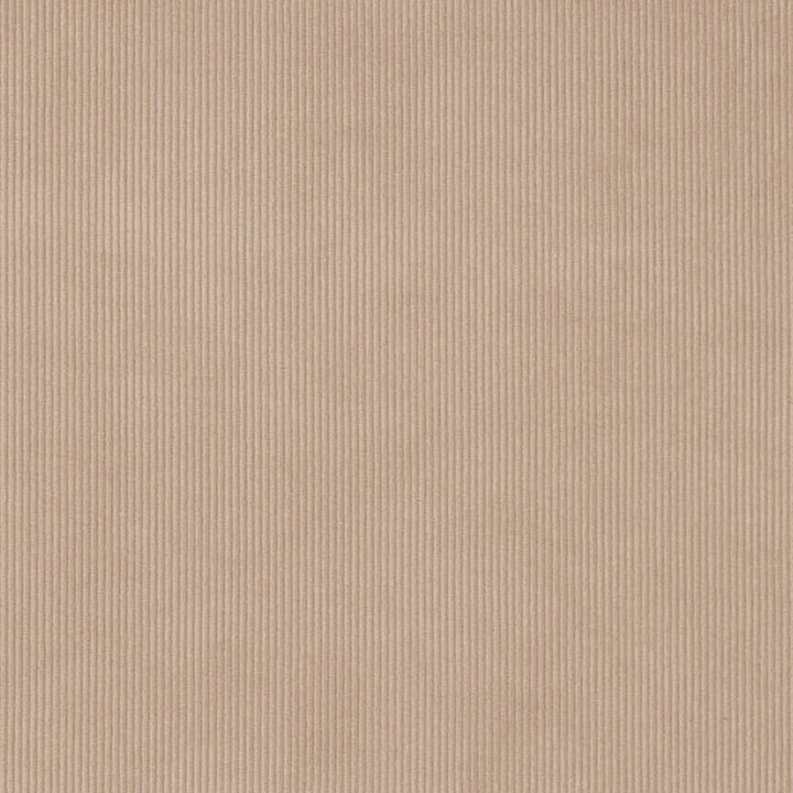 D3895 by Charlotte Designer Fabric Ridges 90% Polyester, 10% Nylon Asia Exceeds 300,000 Wyzenbeek Rubs (Heavy Duty) No Repeat 54 Inches - Swanky Fabrics -