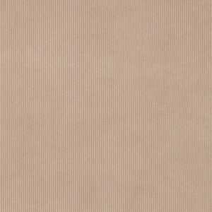 D3895 by Charlotte Designer Fabric