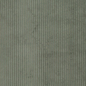 D3898 by Charlotte Designer Fabric