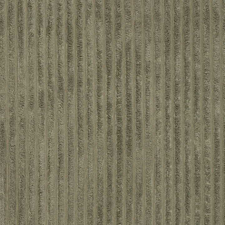 D3917 by Charlotte Designer Fabric Ridges 90% Polyester, 10% Nylon Asia Exceeds 150,000 Wyzenbeek Rubs (Heavy Duty) No Repeat 54 Inches - Swanky Fabrics -