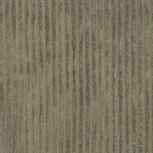 D3917 by Charlotte Designer Fabric