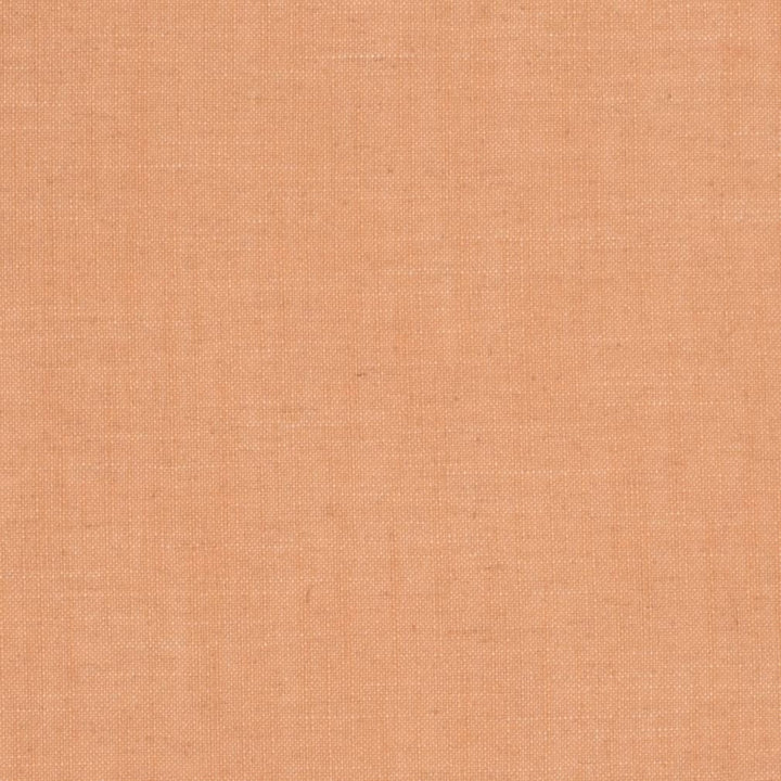 D3938 by Charlotte Designer Fabric Casual Linen 45% Viscose, 35% Polyester, 20% Linen, 16 oz. Asia Exceeds 50,000 Wyzenbeek Rubs (Heavy Duty) No Repeat 54 Inches - Swanky Fabrics -