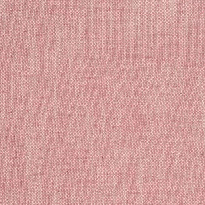 D3939 by Charlotte Designer Fabric Casual Linen 45% Viscose, 35% Polyester, 20% Linen, 16 oz. Asia Exceeds 50,000 Wyzenbeek Rubs (Heavy Duty) No Repeat 54 Inches - Swanky Fabrics -