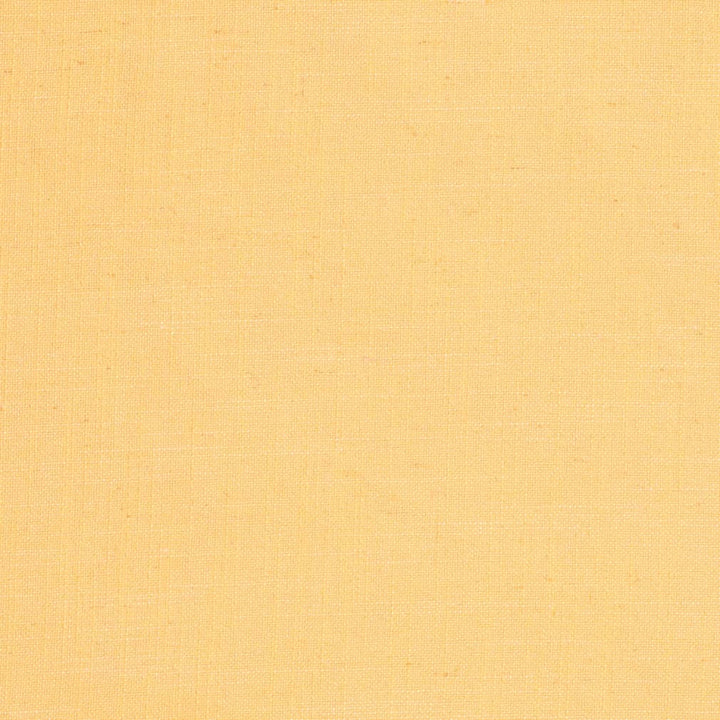 D3941 by Charlotte Designer Fabric Casual Linen 45% Viscose, 35% Polyester, 20% Linen, 16 oz. Asia Exceeds 50,000 Wyzenbeek Rubs (Heavy Duty) No Repeat 54 Inches - Swanky Fabrics -