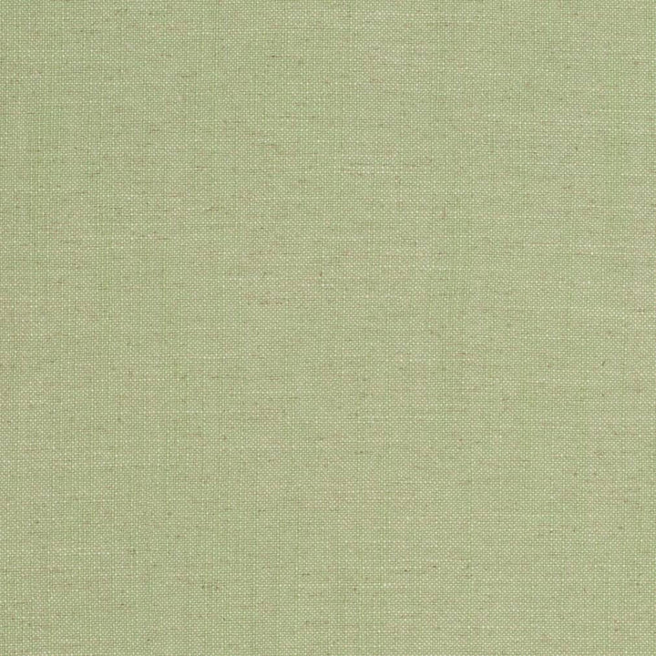 D3951 by Charlotte Designer Fabric Casual Linen 45% Viscose, 35% Polyester, 20% Linen, 16 oz. Asia Exceeds 50,000 Wyzenbeek Rubs (Heavy Duty) No Repeat 54 Inches - Swanky Fabrics -
