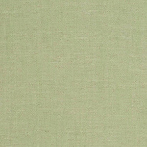 D3951 by Charlotte Designer Fabric