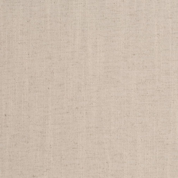 D3952 by Charlotte Designer Fabric Casual Linen 45% Viscose, 35% Polyester, 20% Linen, 16 oz. Asia Exceeds 50,000 Wyzenbeek Rubs (Heavy Duty) No Repeat 54 Inches - Swanky Fabrics -