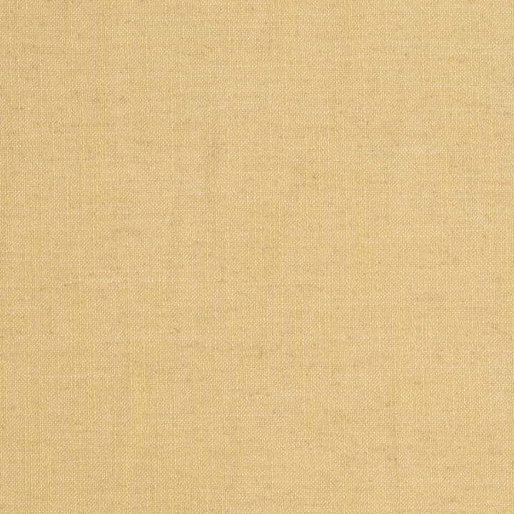 D3953 by Charlotte Designer Fabric Casual Linen 45% Viscose, 35% Polyester, 20% Linen, 16 oz. Asia Exceeds 50,000 Wyzenbeek Rubs (Heavy Duty) No Repeat 54 Inches - Swanky Fabrics -
