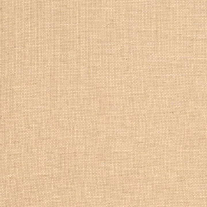 D3959 by Charlotte Designer Fabric Casual Linen 45% Viscose, 35% Polyester, 20% Linen, 16 oz. Asia Exceeds 50,000 Wyzenbeek Rubs (Heavy Duty) No Repeat 54 Inches - Swanky Fabrics -