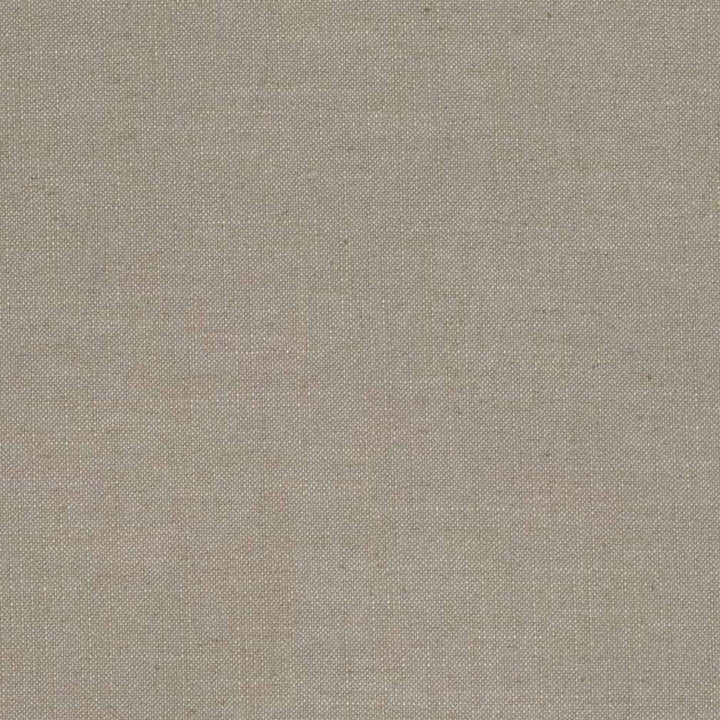 D3968 by Charlotte Designer Fabric Casual Linen 45% Viscose, 35% Polyester, 20% Linen, 16 oz. Asia Exceeds 50,000 Wyzenbeek Rubs (Heavy Duty) No Repeat 54 Inches - Swanky Fabrics -