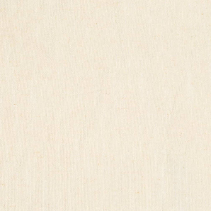 D3971 by Charlotte Designer Fabric Casual Linen 45% Viscose, 35% Polyester, 20% Linen, 16 oz. Asia Exceeds 50,000 Wyzenbeek Rubs (Heavy Duty) No Repeat 54 Inches - Swanky Fabrics -