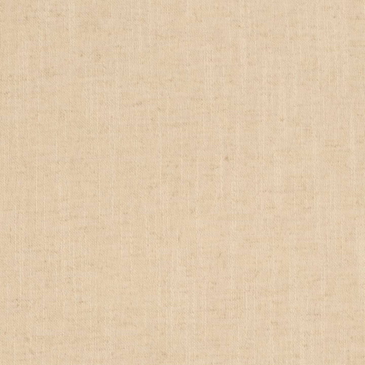 D3973 by Charlotte Designer Fabric Casual Linen 45% Viscose, 35% Polyester, 20% Linen, 16 oz. Asia Exceeds 50,000 Wyzenbeek Rubs (Heavy Duty) No Repeat 54 Inches - Swanky Fabrics -