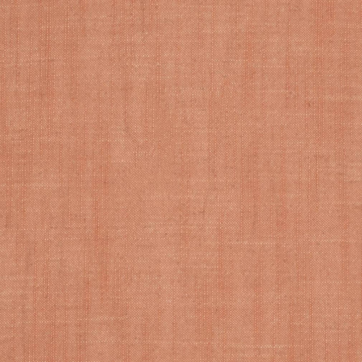D3978 by Charlotte Designer Fabric Casual Linen 45% Viscose, 35% Polyester, 20% Linen, 16 oz. Asia Exceeds 50,000 Wyzenbeek Rubs (Heavy Duty) No Repeat 54 Inches - Swanky Fabrics -