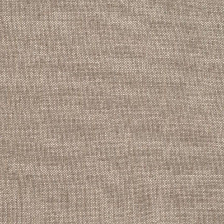D3979 by Charlotte Designer Fabric Casual Linen 45% Viscose, 35% Polyester, 20% Linen, 16 oz. Asia Exceeds 50,000 Wyzenbeek Rubs (Heavy Duty) No Repeat 54 Inches - Swanky Fabrics -