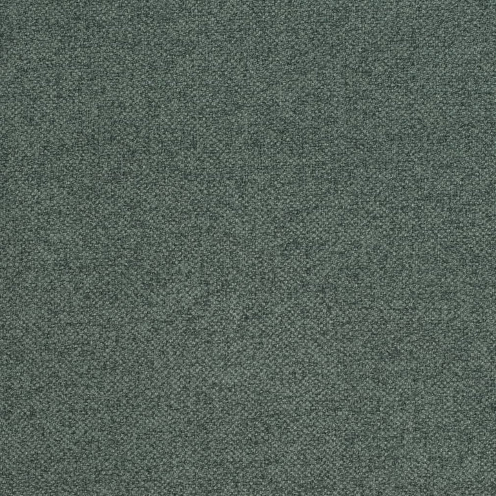 D3991 by Charlotte Designer Fabric Simply Solid 100% Polyester Asia Exceeds 70,000 Wyzenbeek Rubs (Heavy Duty) No Repeat 54 Inches - Swanky Fabrics -