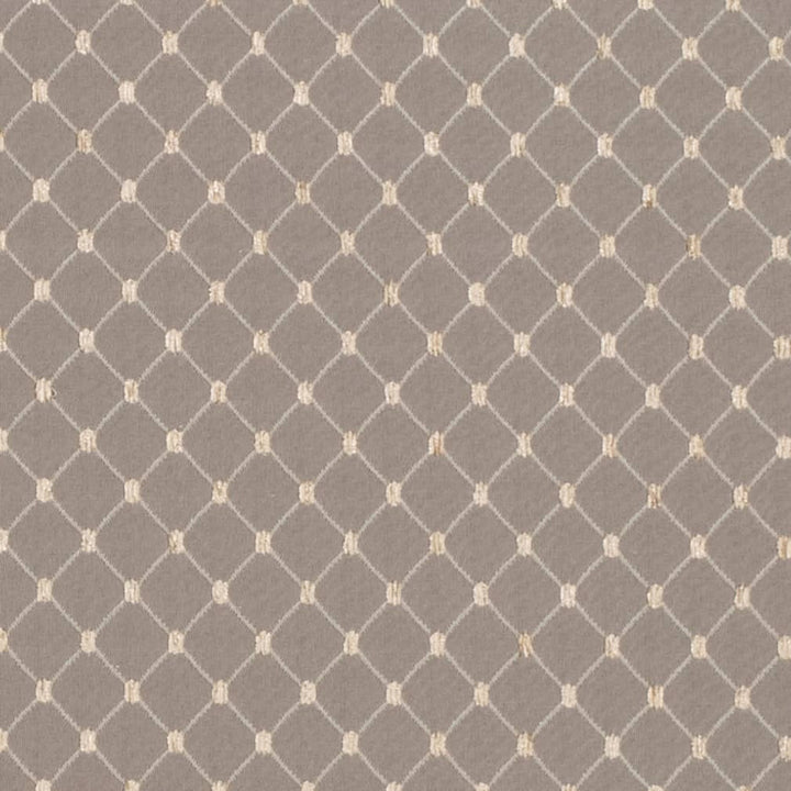 D4095 by Charlotte Designer Fabric Heirloom 100% Polyester Asia Exceeds 100,000 Wyzenbeek Rubs (Heavy Duty) Horizontal 1" x Vertical 1.25" 54 Inches - Swanky Fabrics -
