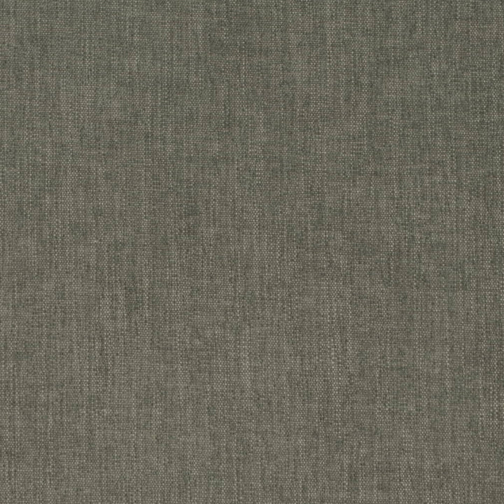 D4156 Rosemary by Charlotte Fabric Crypton Colors II 100% Polyester Finished in USA Exceeds 120,000 Wyzenbeek Rubs (Heavy Duty) No Repeat 54 Inches - Fabric Carolina -