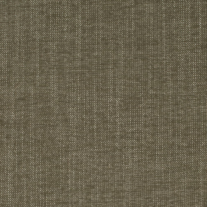 D4163 Moss by Charlotte Fabric Crypton Colors II 92% Polyester, 8% Linen Finished in USA Exceeds 100,000 Wyzenbeek Rubs (Heavy Duty) No Repeat 54 Inches - Fabric Carolina -