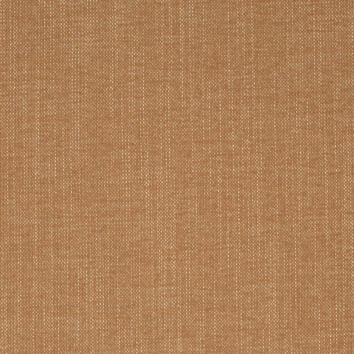 D4164 Caramel by Charlotte Fabric Crypton Colors II 92% Polyester, 8% Linen Finished in USA Exceeds 100,000 Wyzenbeek Rubs (Heavy Duty) No Repeat 54 Inches - Fabric Carolina -