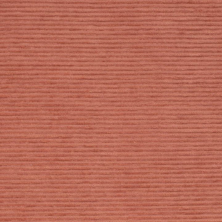D4175 Coral by Charlotte Fabric Crypton Colors II 100% Polyester Finished in USA Exceeds 100,000 Wyzenbeek Rubs (Heavy Duty) No Repeat 54 Inches - Fabric Carolina -