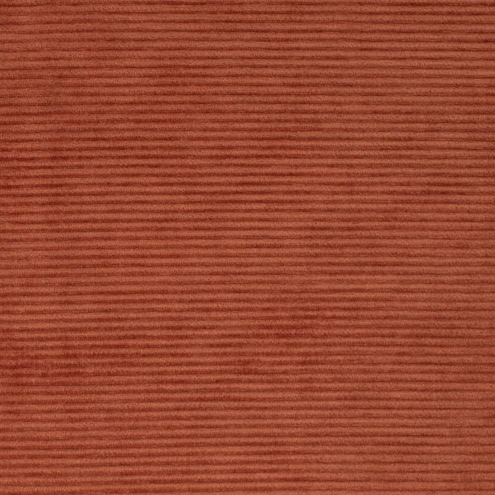 D4177 Paprika by Charlotte Fabric Crypton Colors II 100% Polyester Finished in USA Exceeds 100,000 Wyzenbeek Rubs (Heavy Duty) No Repeat 54 Inches - Fabric Carolina -