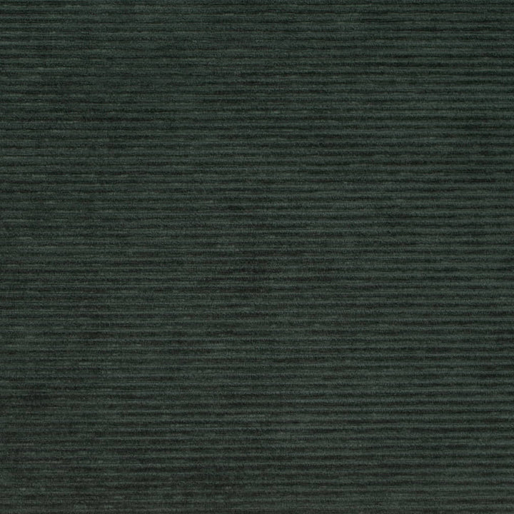 D4182 Hunter by Charlotte Fabric Crypton Colors II 100% Polyester Finished in USA Exceeds 100,000 Wyzenbeek Rubs (Heavy Duty) No Repeat 54 Inches - Fabric Carolina -