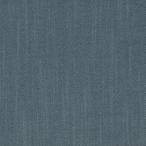 D4187 Blue by Charlotte Designer Fabric