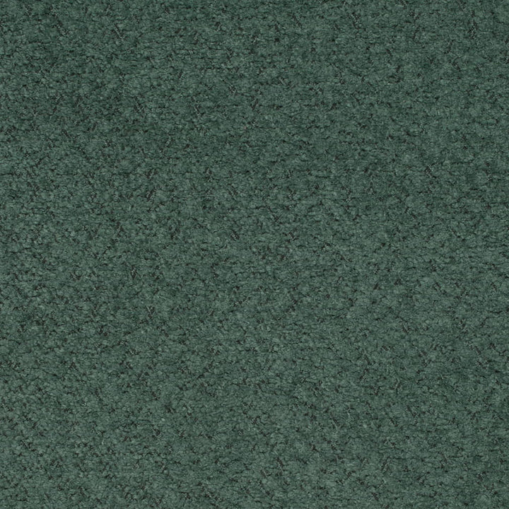 D4207 Forest by Charlotte Fabric Crypton Colors II 100% Polyester Finished in USA Exceeds 120,000 Wyzenbeek Rubs (Heavy Duty) No Repeat 54 Inches - Fabric Carolina -