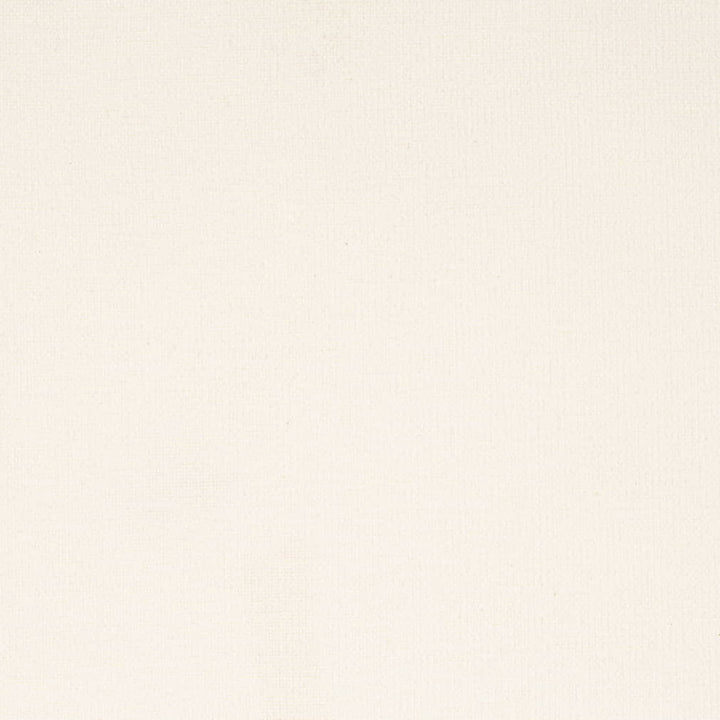 D4234 Marshmallow by Charlotte Fabric Crypton Neutrals II 92% Polyester, 8% Linen Finished in USA Exceeds 100,000 Wyzenbeek Rubs (Heavy Duty) No Repeat 54 Inches - Fabric Carolina -
