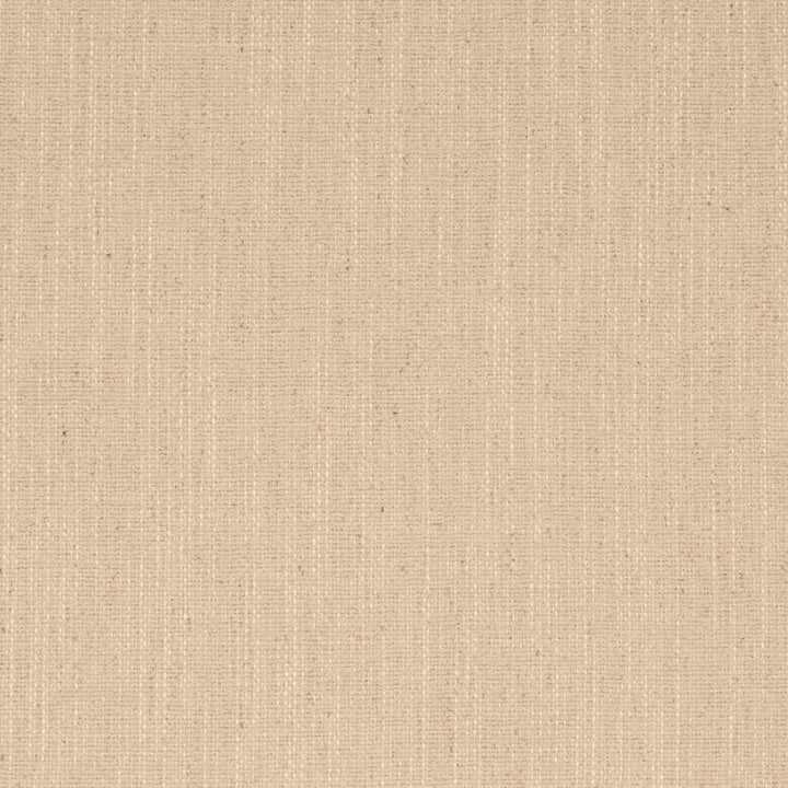 D4237 Oat by Charlotte Fabric Crypton Neutrals II 92% Polyester, 8% Linen Finished in USA Exceeds 100,000 Wyzenbeek Rubs (Heavy Duty) No Repeat 54 Inches - Fabric Carolina -