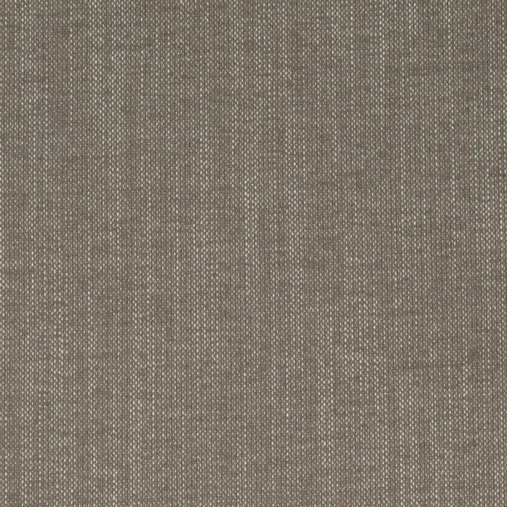 D4241 Mushroom by Charlotte Fabric Crypton Neutrals II 92% Polyester, 8% Linen Finished in USA Exceeds 100,000 Wyzenbeek Rubs (Heavy Duty) No Repeat 54 Inches - Fabric Carolina -