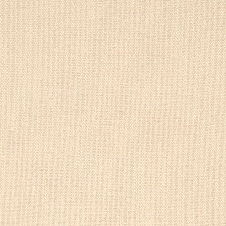 D4251 Putty by Charlotte Fabric Crypton Neutrals II 100% Polyester Finished in USA Exceeds 120,000 Wyzenbeek Rubs (Heavy Duty) No Repeat 54 Inches - Fabric Carolina -