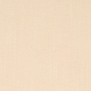 D4251 Putty by Charlotte Designer Fabric