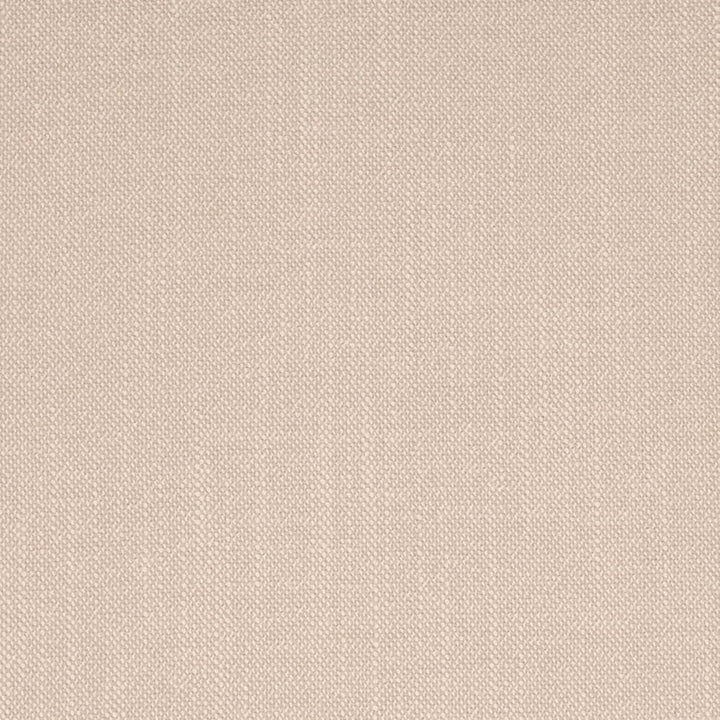 D4254 Flax by Charlotte Fabric Crypton Neutrals II 100% Polyester Finished in USA Exceeds 120,000 Wyzenbeek Rubs (Heavy Duty) No Repeat 54 Inches - Fabric Carolina -