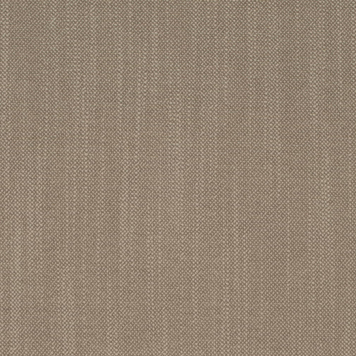 D4256 Clay by Charlotte Fabric Crypton Neutrals II 100% Polyester Finished in USA Exceeds 120,000 Wyzenbeek Rubs (Heavy Duty) No Repeat 54 Inches - Fabric Carolina -