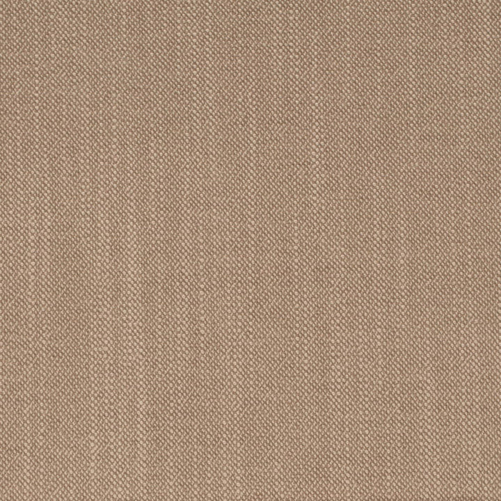 D4259 Oatmeal by Charlotte Fabric Crypton Neutrals II 100% Polyester Finished in USA Exceeds 120,000 Wyzenbeek Rubs (Heavy Duty) No Repeat 54 Inches - Fabric Carolina -