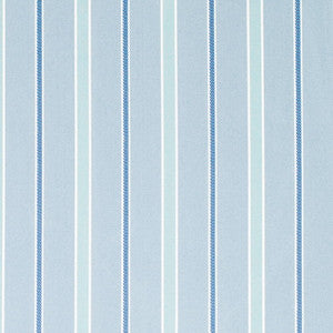 D4303 Sky by Charlotte Designer Fabric